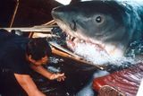 thumbnail: Chief Brody, played by Roy Scheider, battles with the mechanical shark known as 'Bruce'